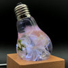 Image of 3-Pack Bundle of Bulbs