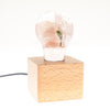 Image of Wood light base with screw socket