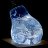 Image of Blue Hydrangea