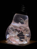 Image of Pink Hydrangea