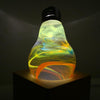 Image of 3-Pack Bundle of Bulbs
