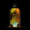 Image of 3-Pack Bundle of Bulbs